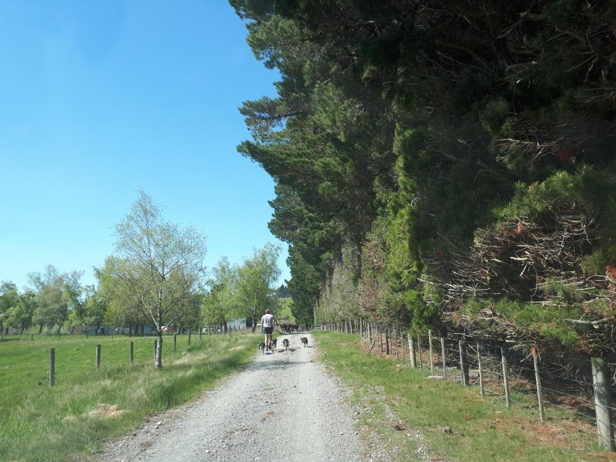 Te Anau Farm Cottage المظهر الخارجي الصورة